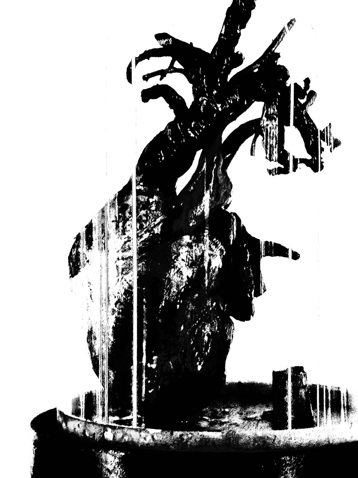 Okanisme A 102