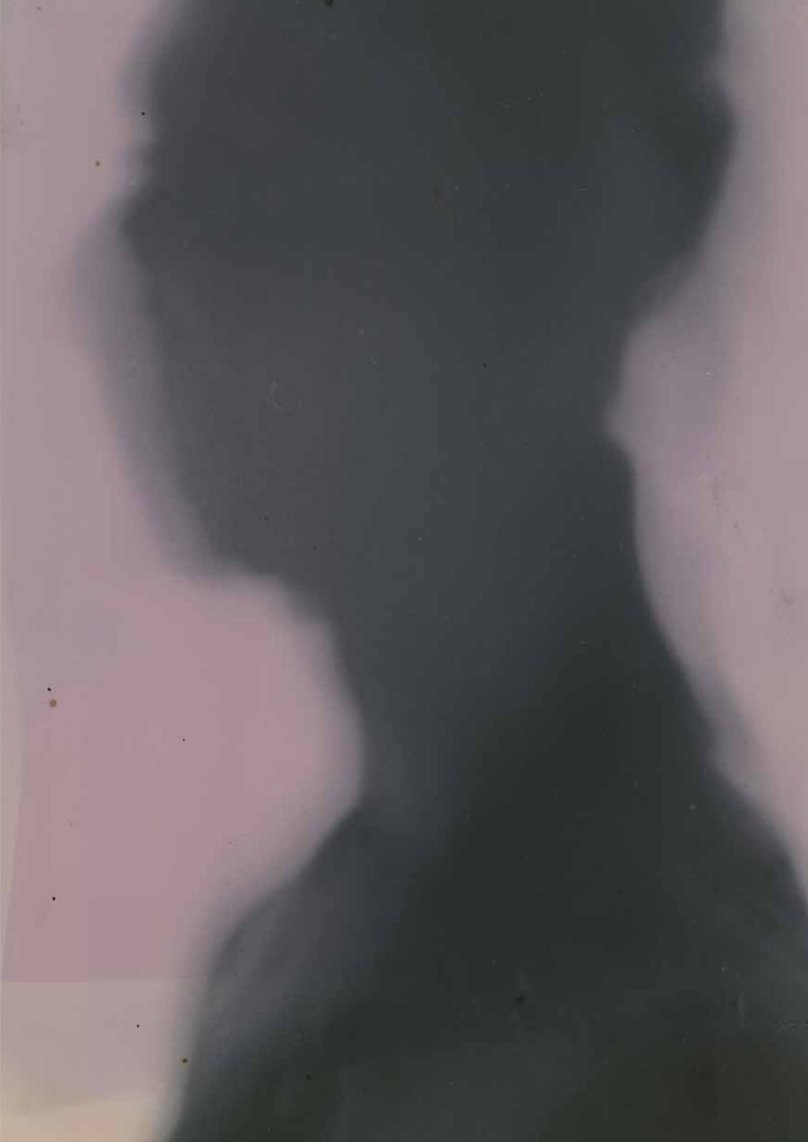 allesgut — paars silhouet